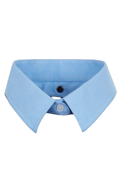 LIGHT BLUE COLLARS ( detachable collars that button onto our sweatshirts and t-shirts)